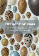 Bkof Eggs _Hauber