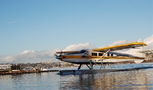 Picture6